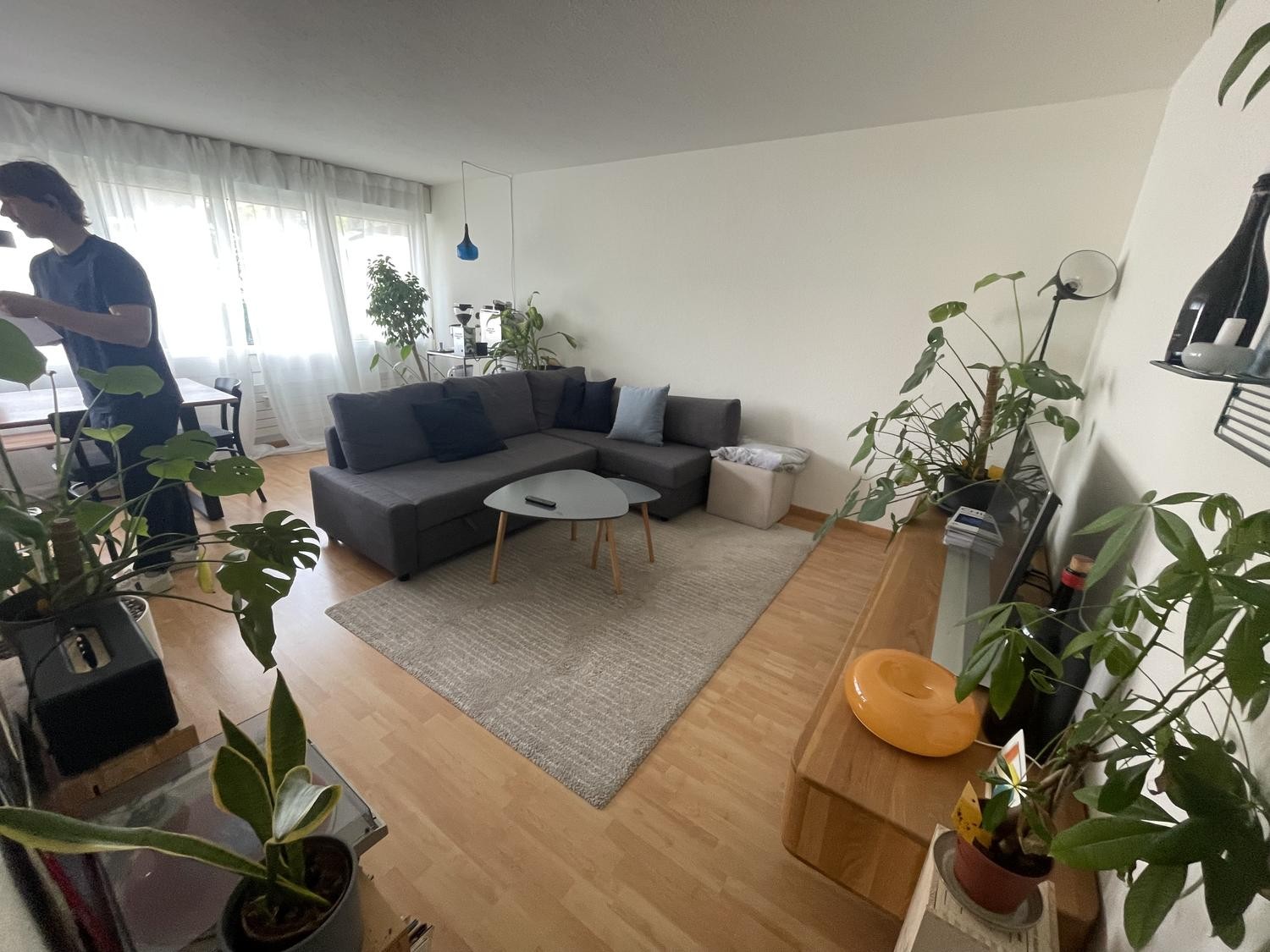Appartement de 2 ½ pièces, photo 2 sur 7