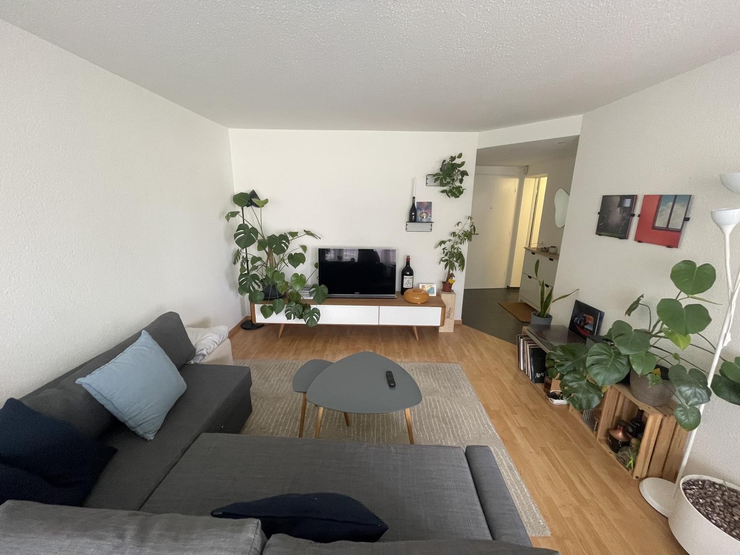 Appartement de 2 ½ pièces, photo 5 sur 7