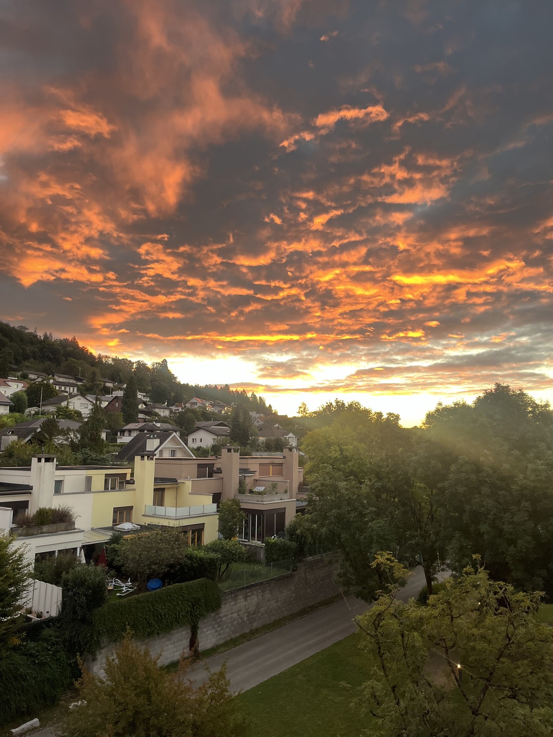Chambre dans une colocation

Je sous-loue ma chambre dans un quartier magnifique et calme d'Unterengstringen, disponible dès le 1 November.

L'appartement est situé très près de la rivière Limmat, avec une belle vue et la forêt juste derrière la maison – parfait si vous aimez la nature, les promenad, photo 6 sur 6