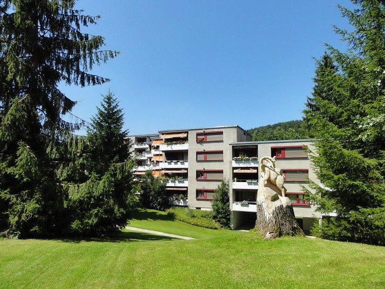 Appartement de 2 ½ pièces