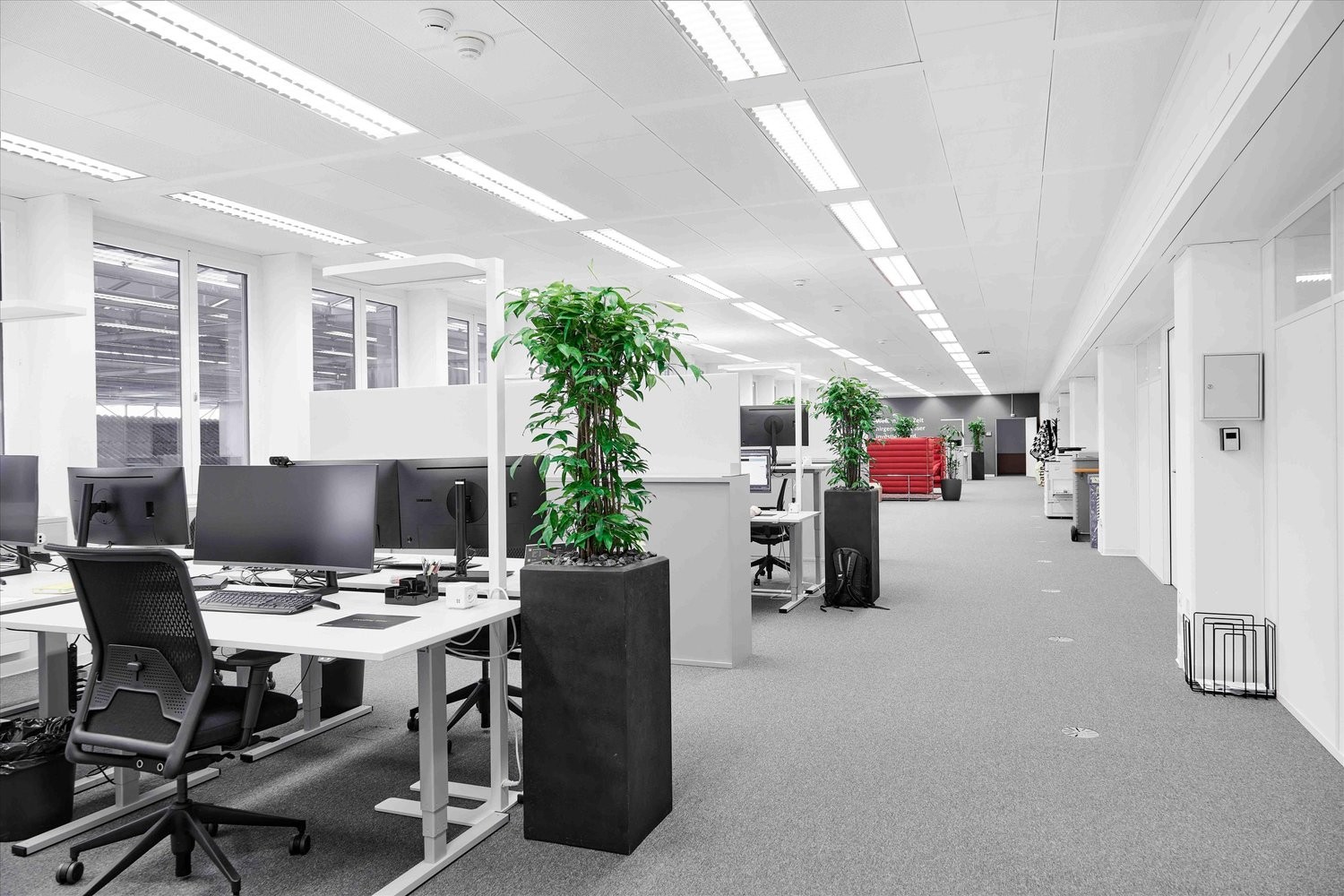 Bureau de 135m², photo 4 sur 10