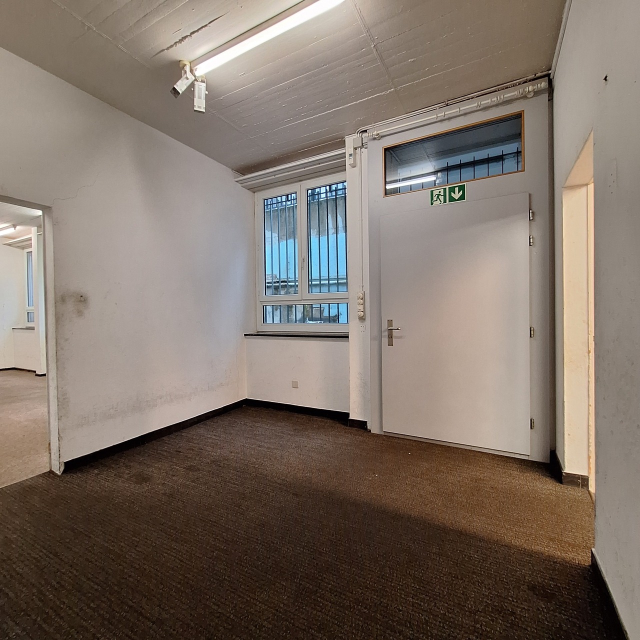 241m² commercial