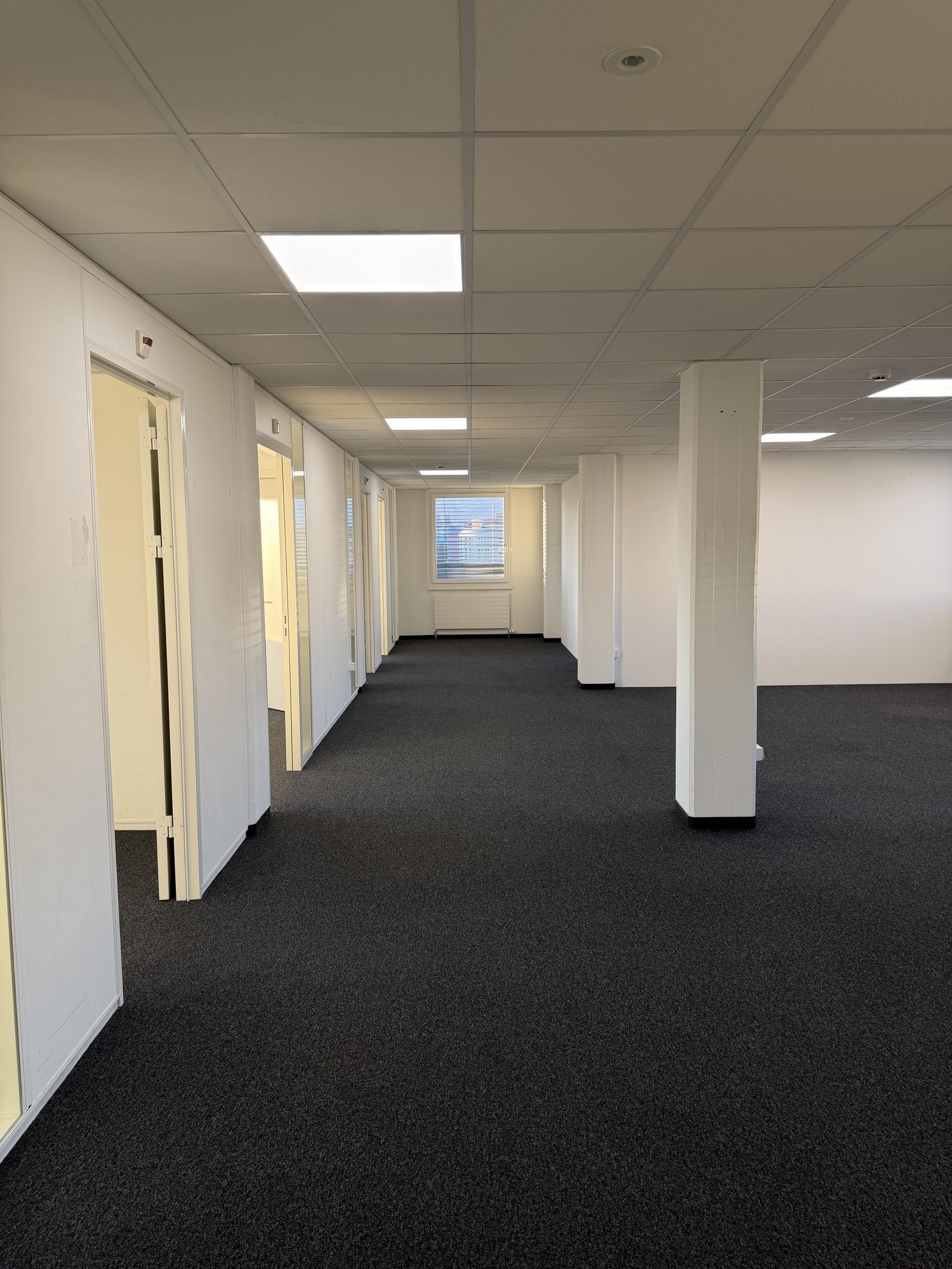 236m² bureau, photo 3 sur 7