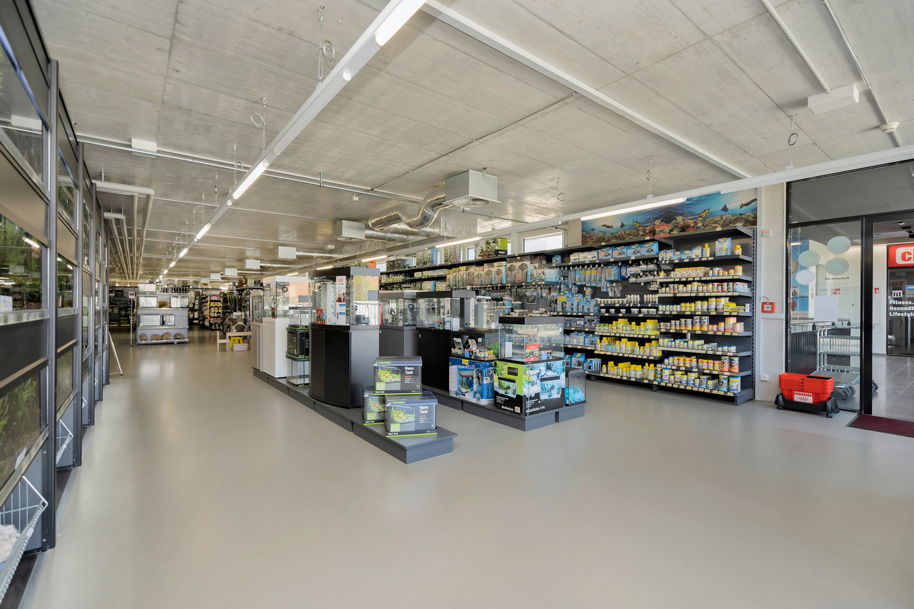 983m² commercial, photo 4 sur 10