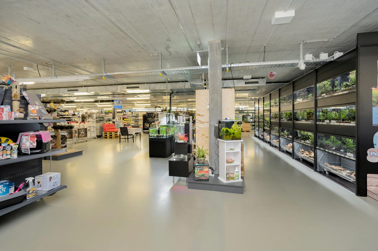 983m² commercial, photo 5 sur 10