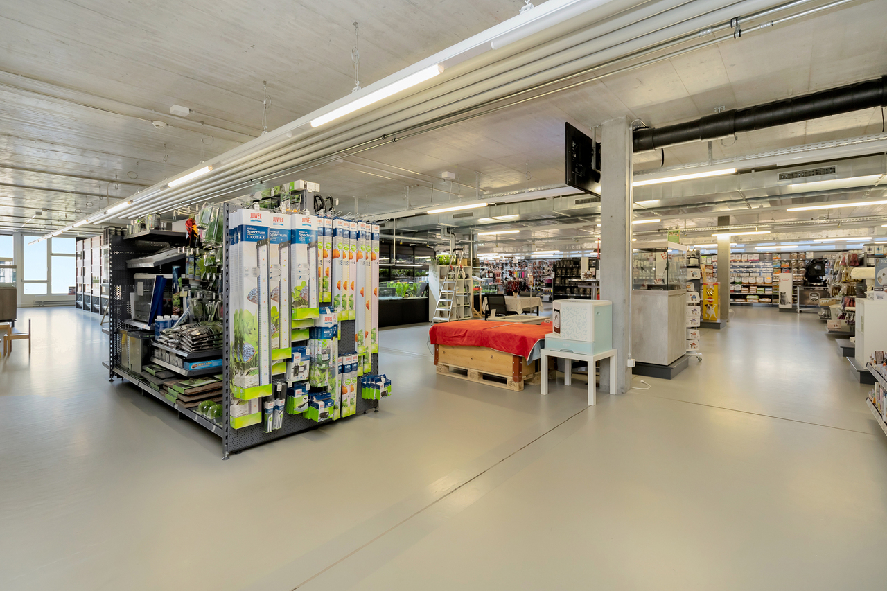 983m² commercial, photo 3 sur 10