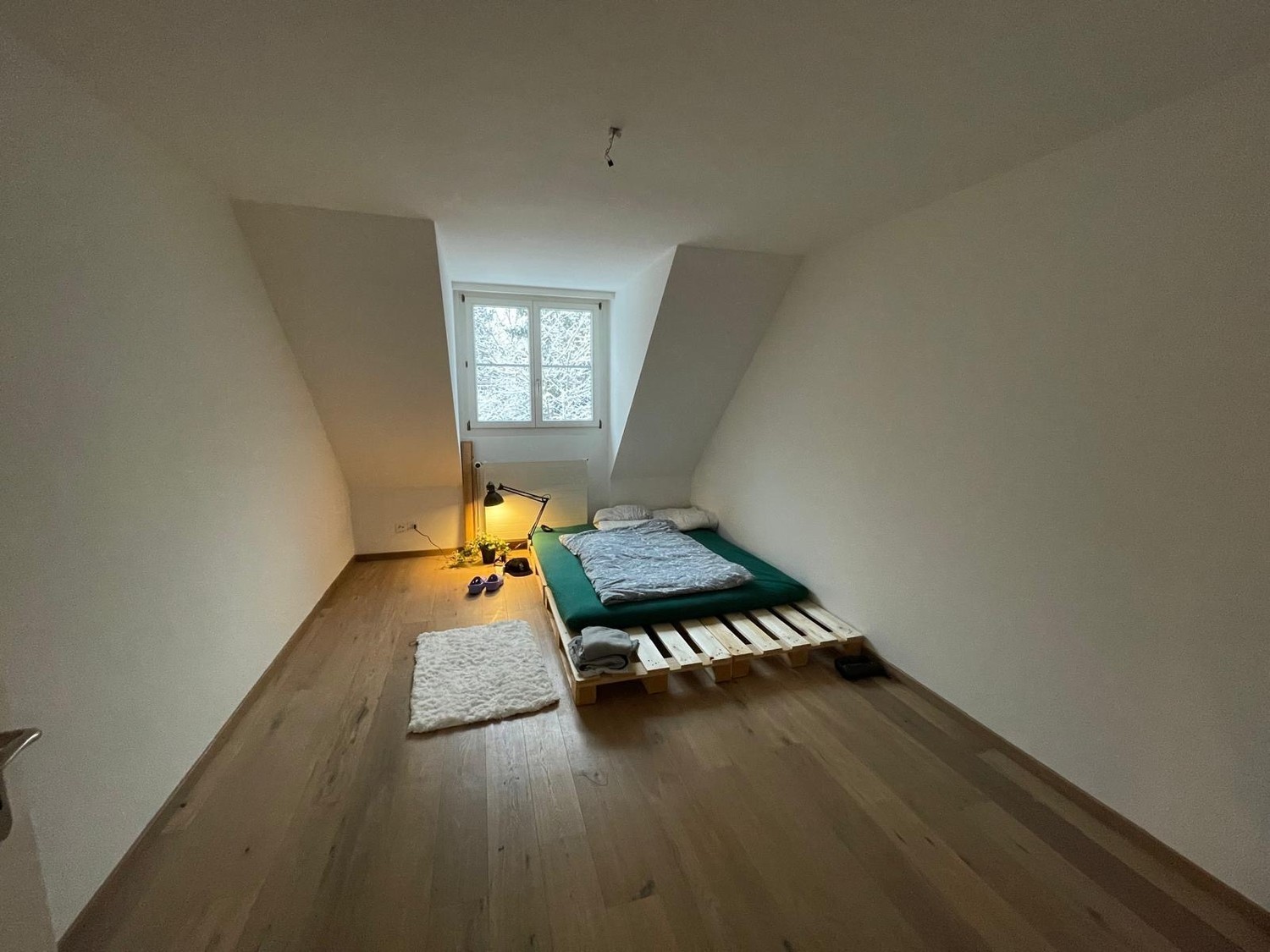Chambre dans une colocation