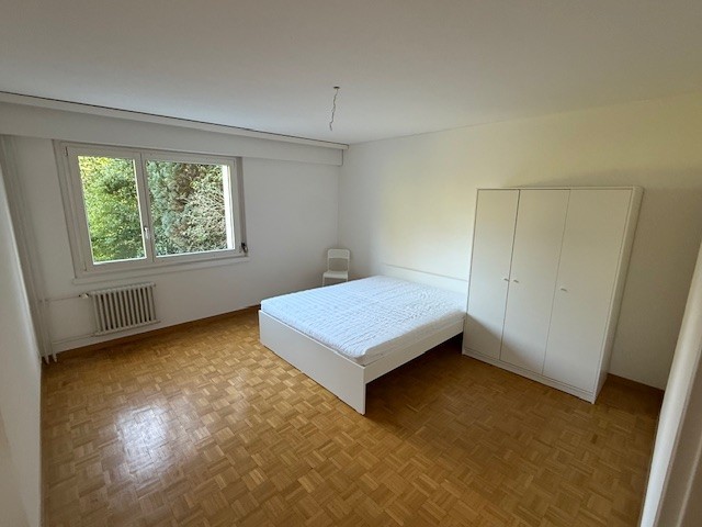 Chambre dans une colocation