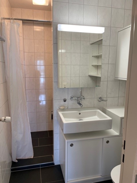 Appartement de 3 ½ pièces