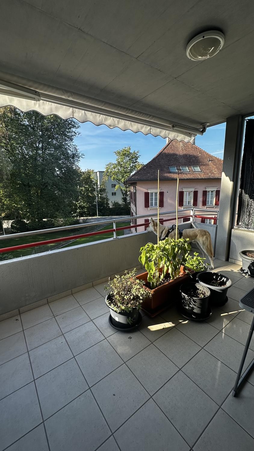 Appartement de 4 ½ pièces, photo 5 sur 10