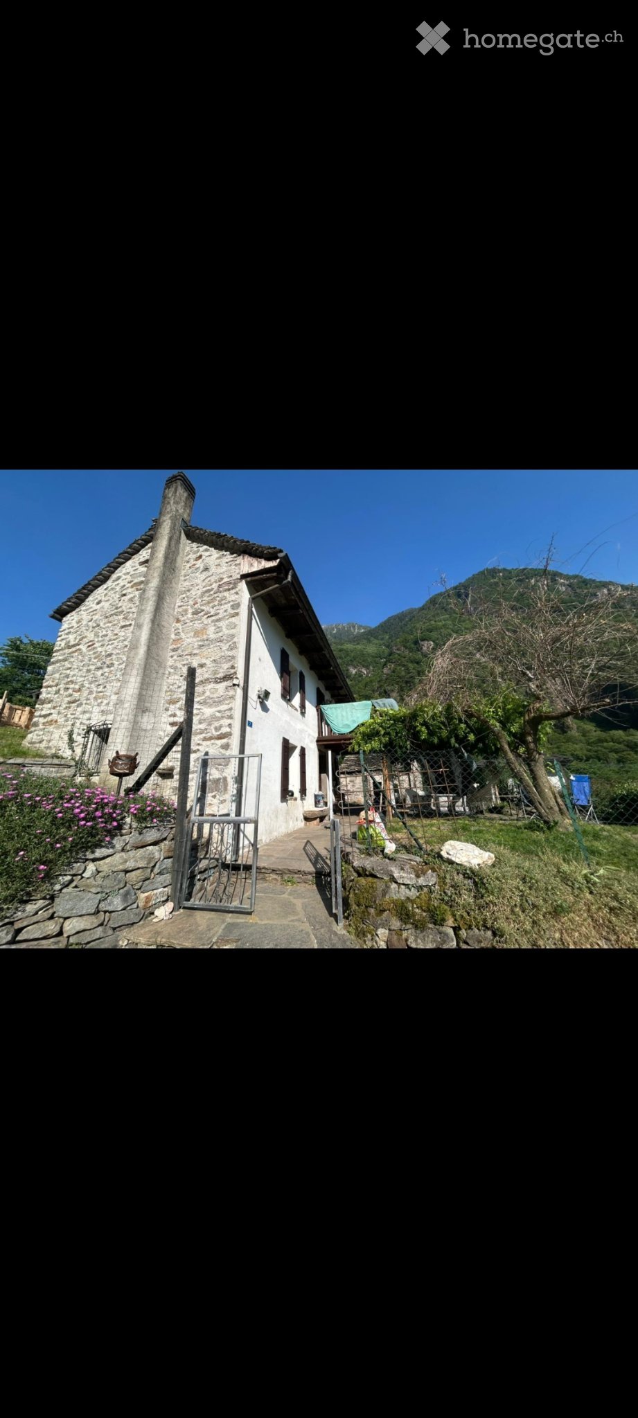 1-Zimmer-Einfamilienhaus