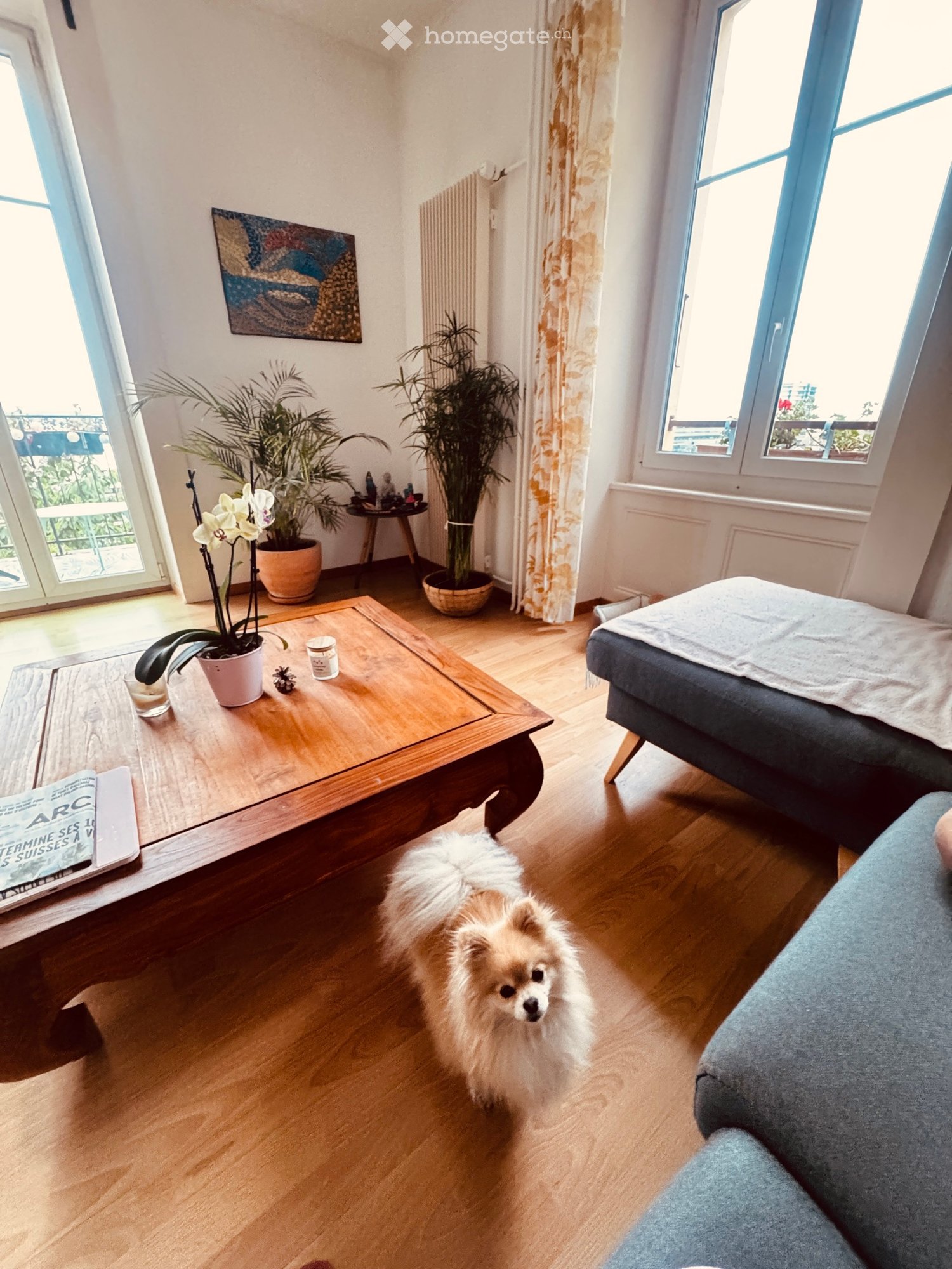 1 room single room