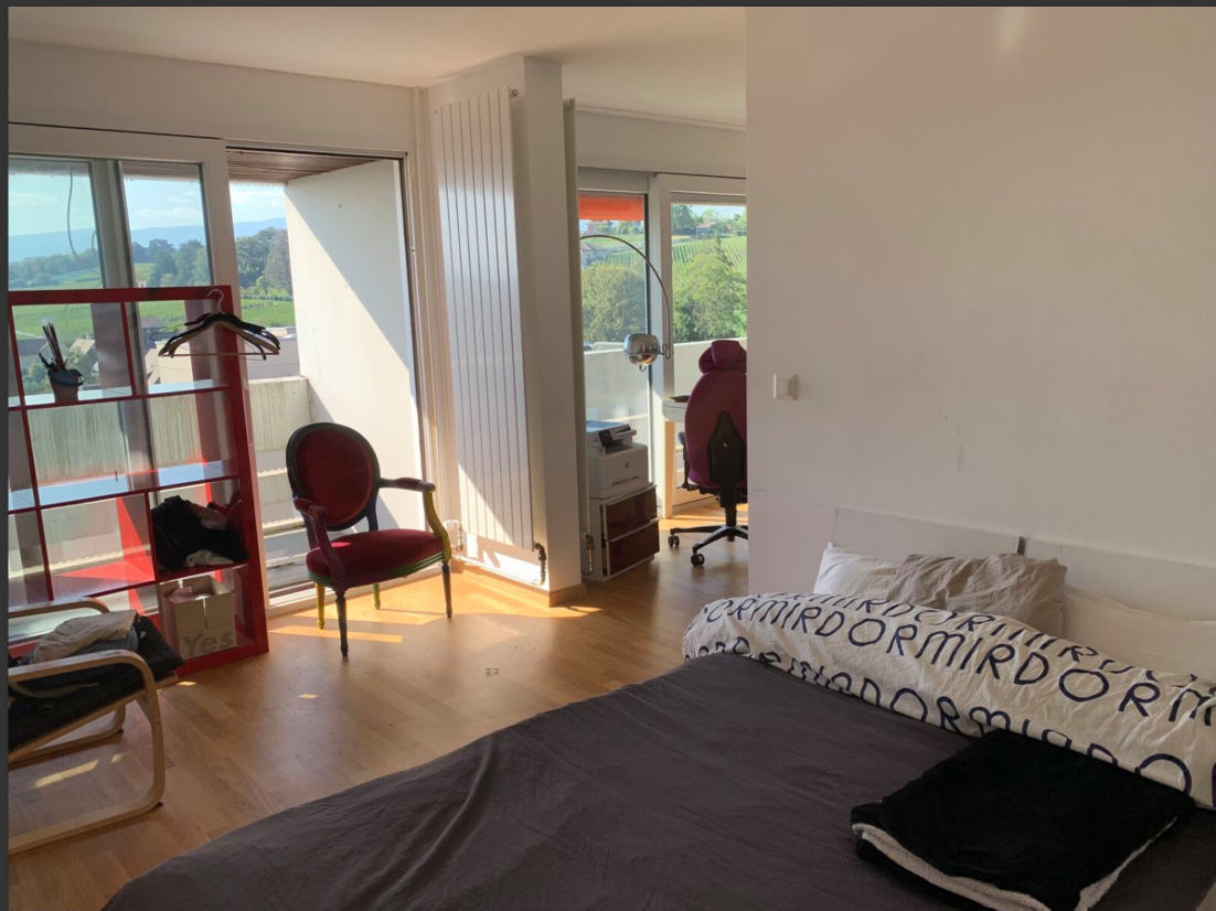 1 ½ rooms apartment, photo 6 sur 8
