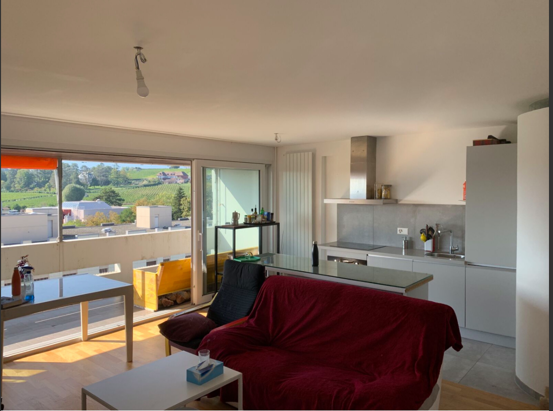 1 ½ rooms apartment, photo 4 sur 8