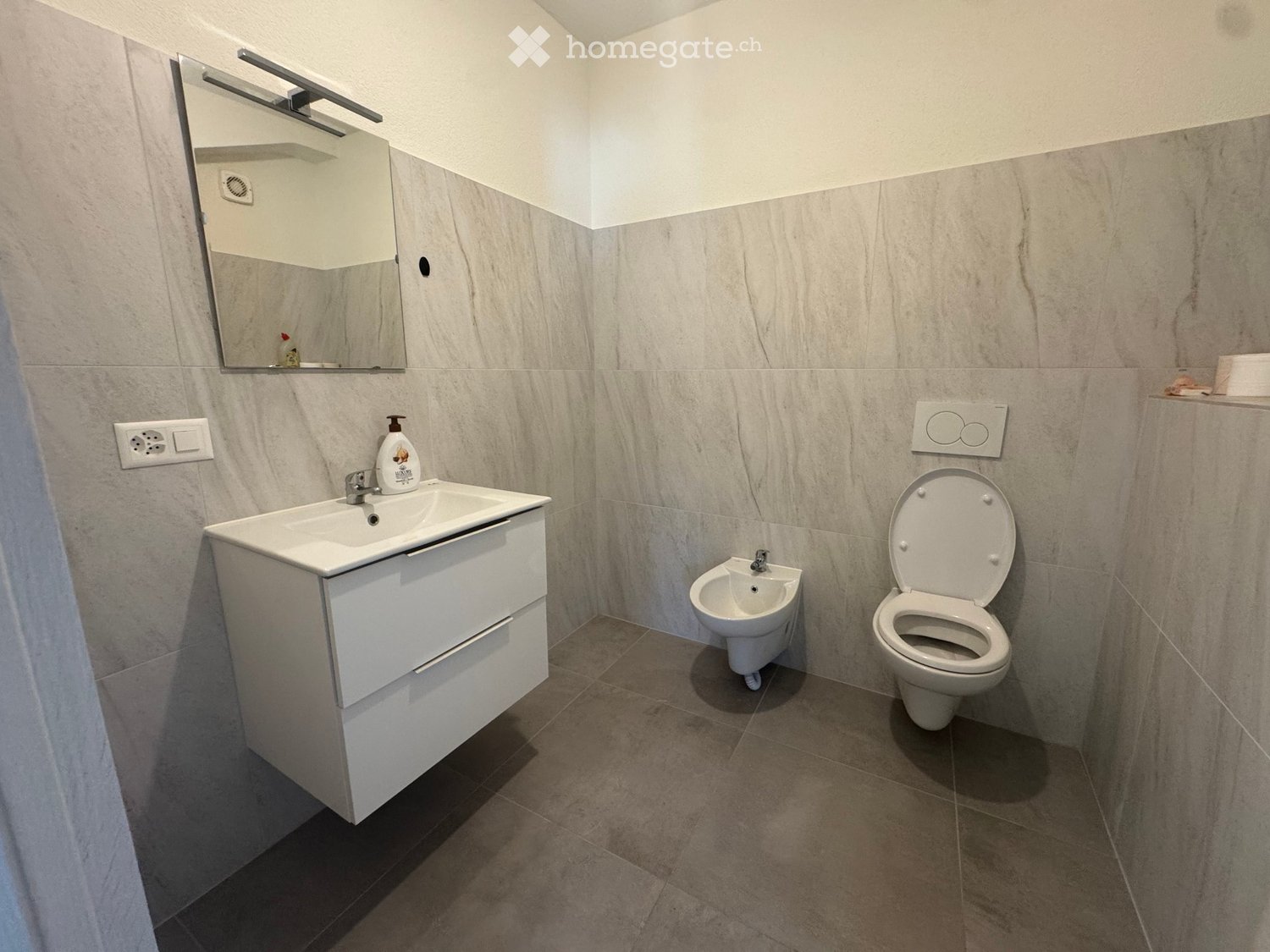 2 ½ rooms apartment