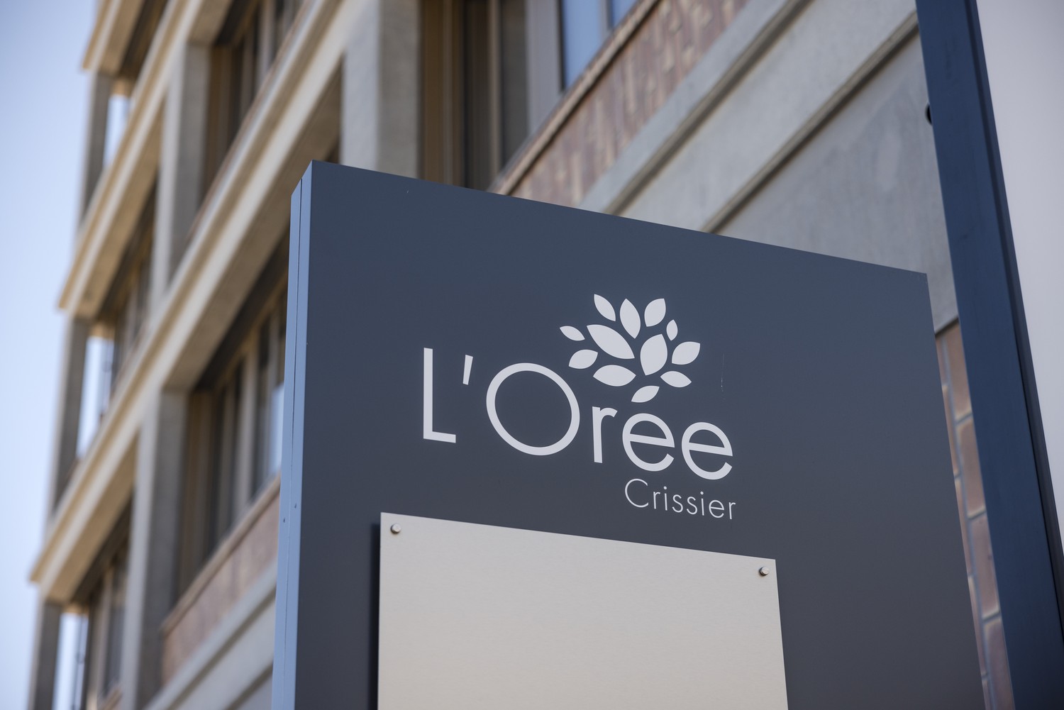 387m² office