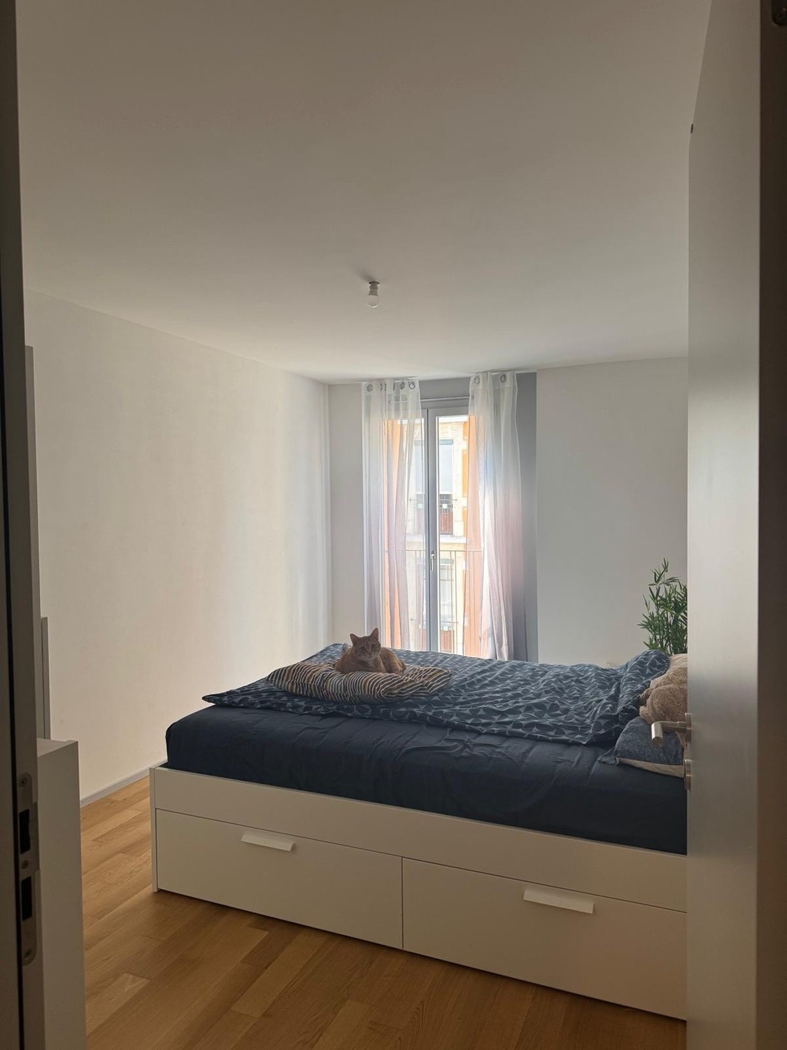 3 ½ rooms apartment, photo 5 sur 10