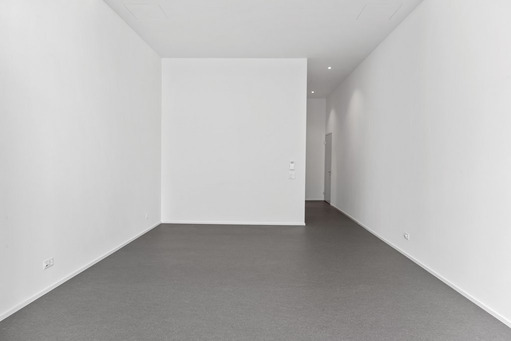 Loft de 1 ½ pièces, photo 3 sur 7