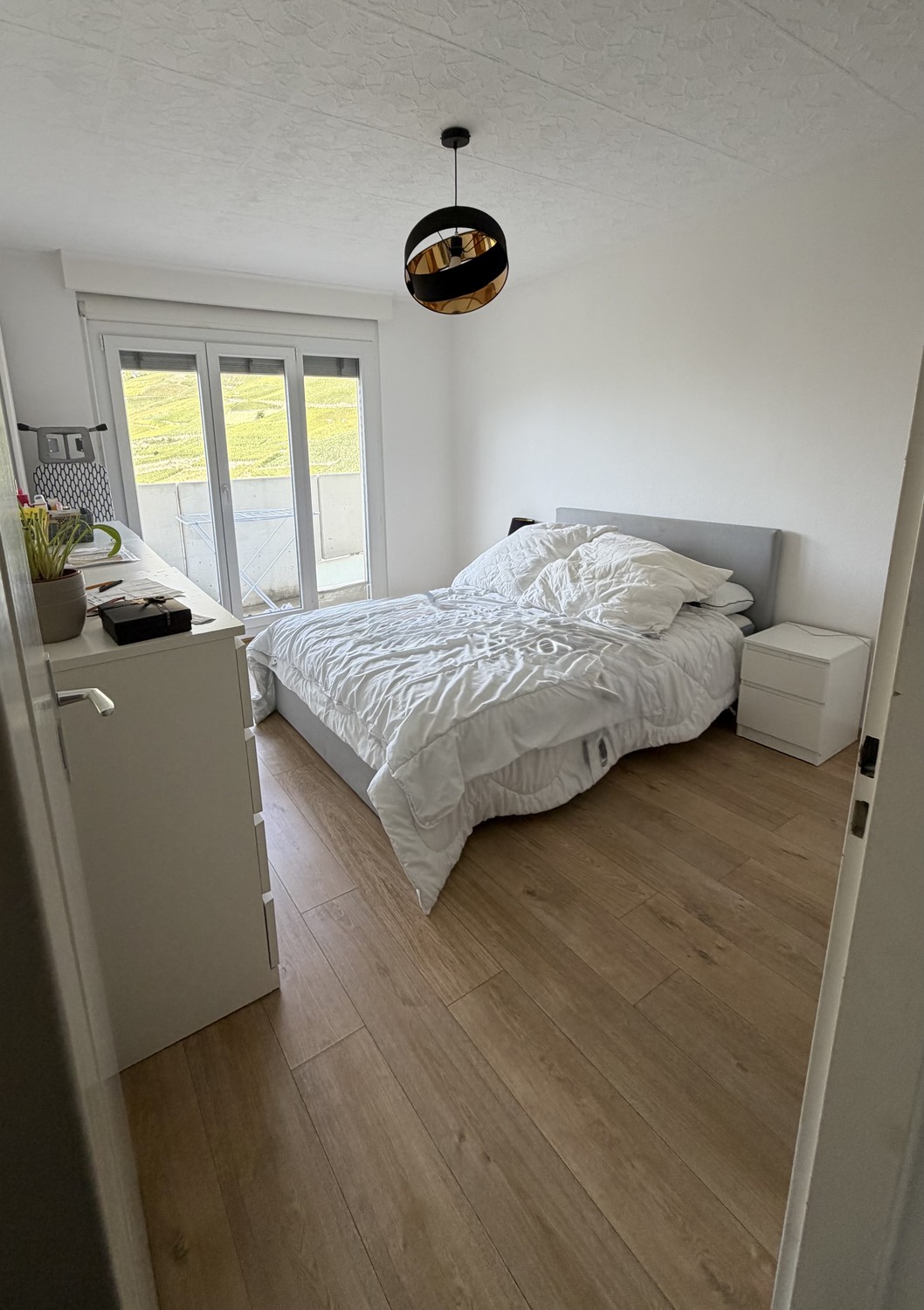4 ½ rooms apartment, photo 5 sur 9