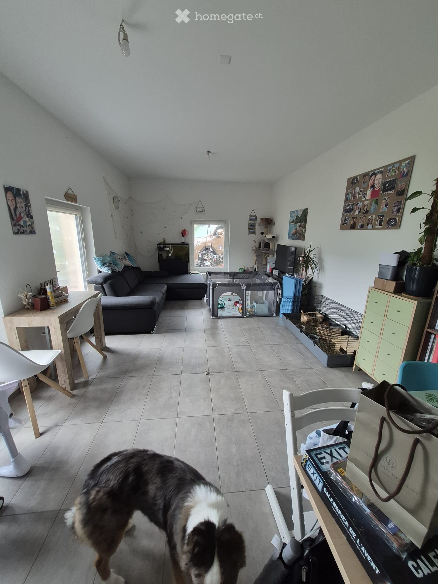 3 ½ rooms apartment, photo 5 sur 5