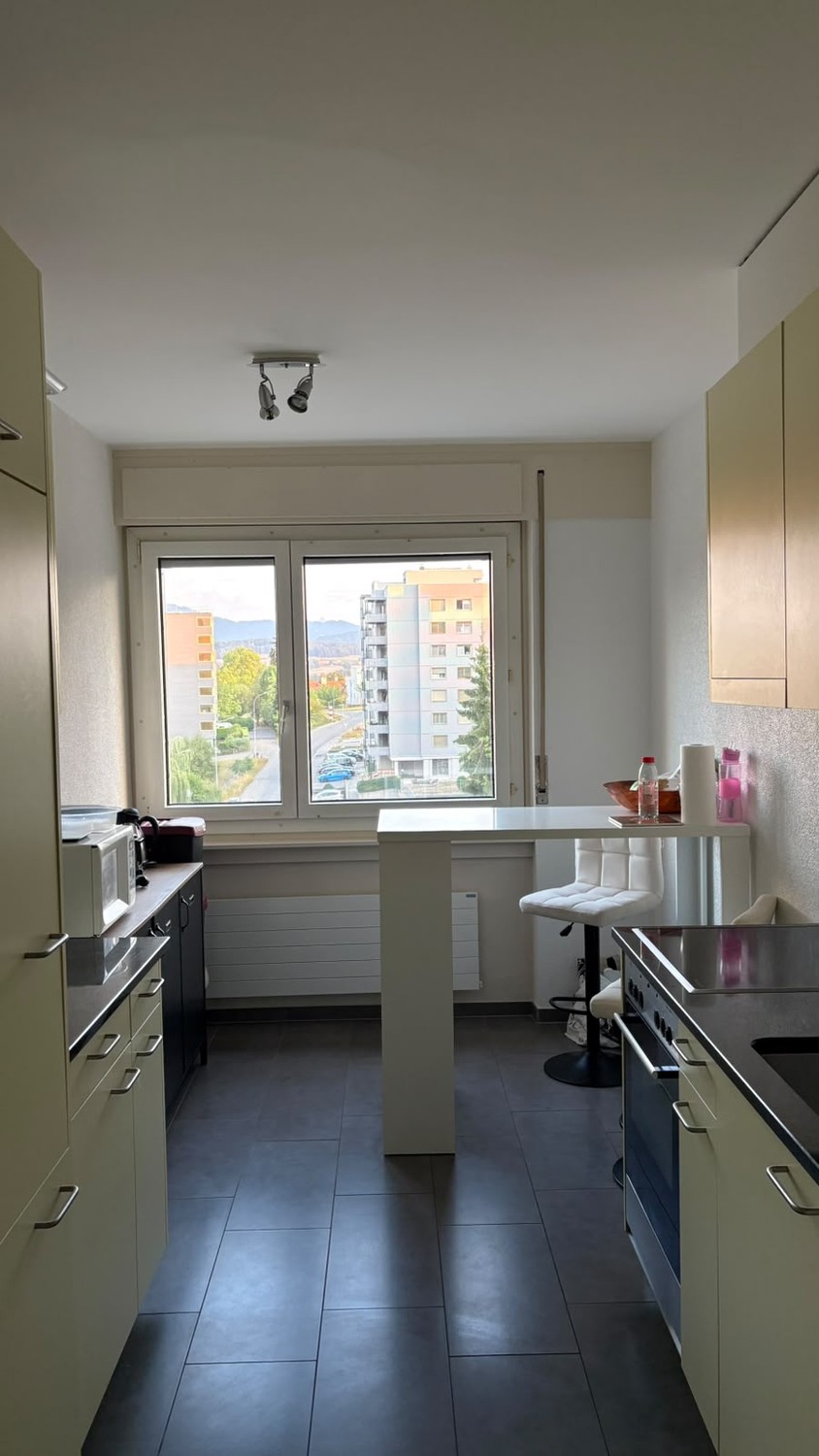 2 ½ rooms apartment, photo 6 sur 9