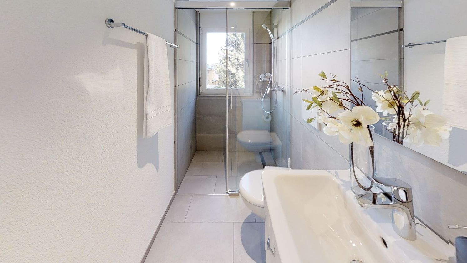 3 ½ rooms apartment, photo 8 sur 9