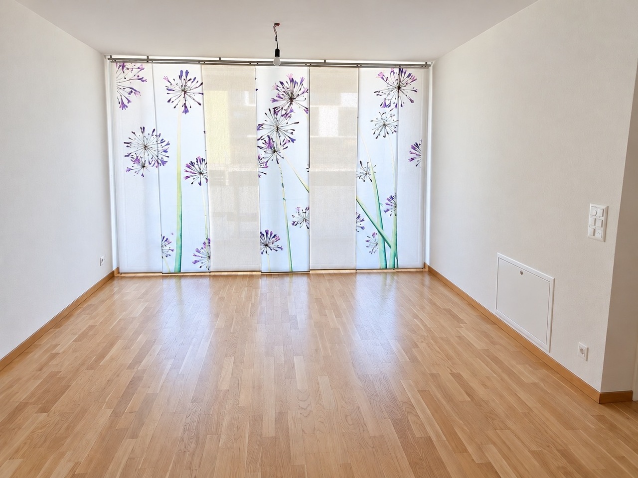 2 ½ rooms apartment, photo 2 sur 7