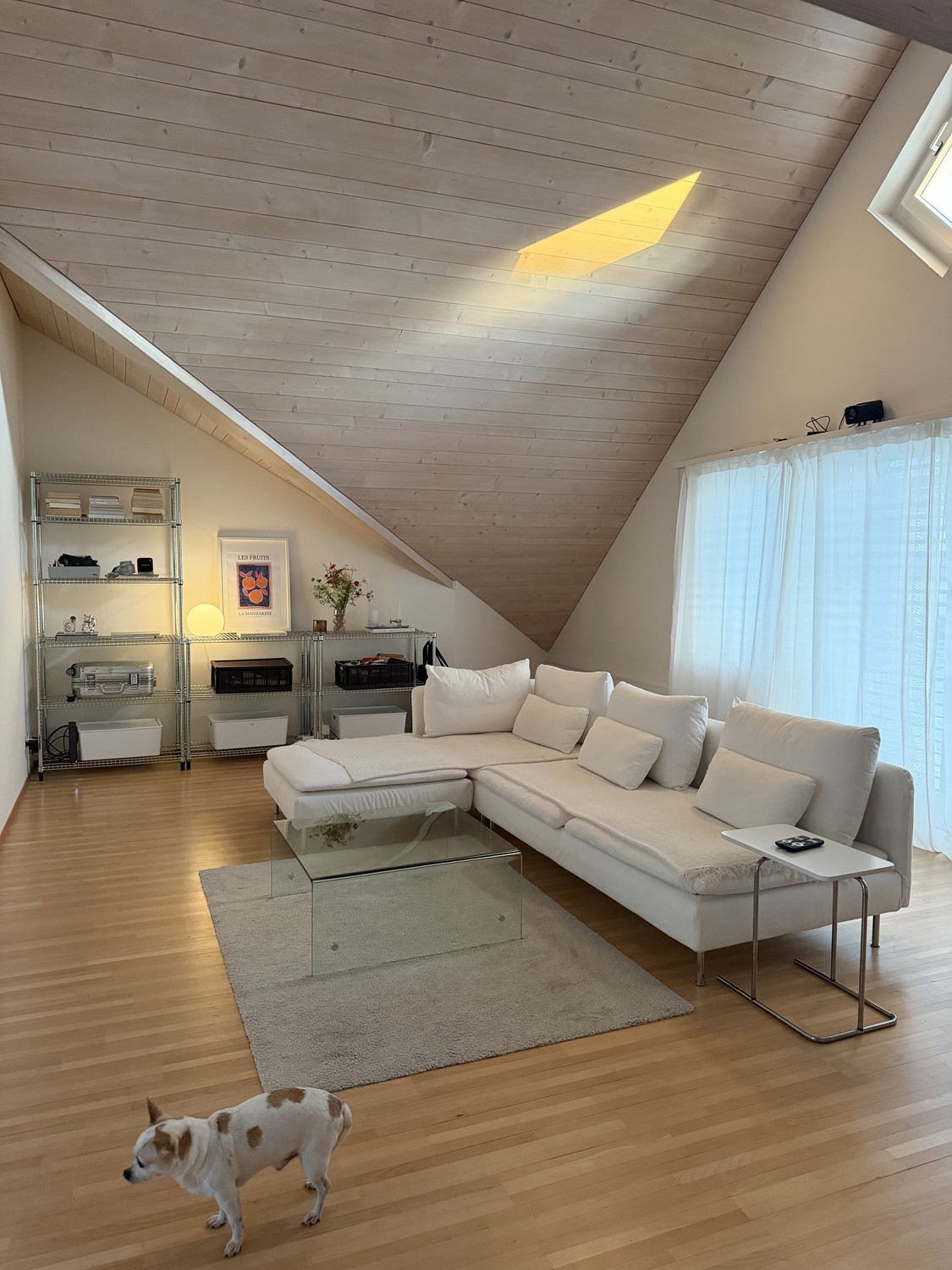 Appartement de 3 ½ pièces, photo 1 sur 8