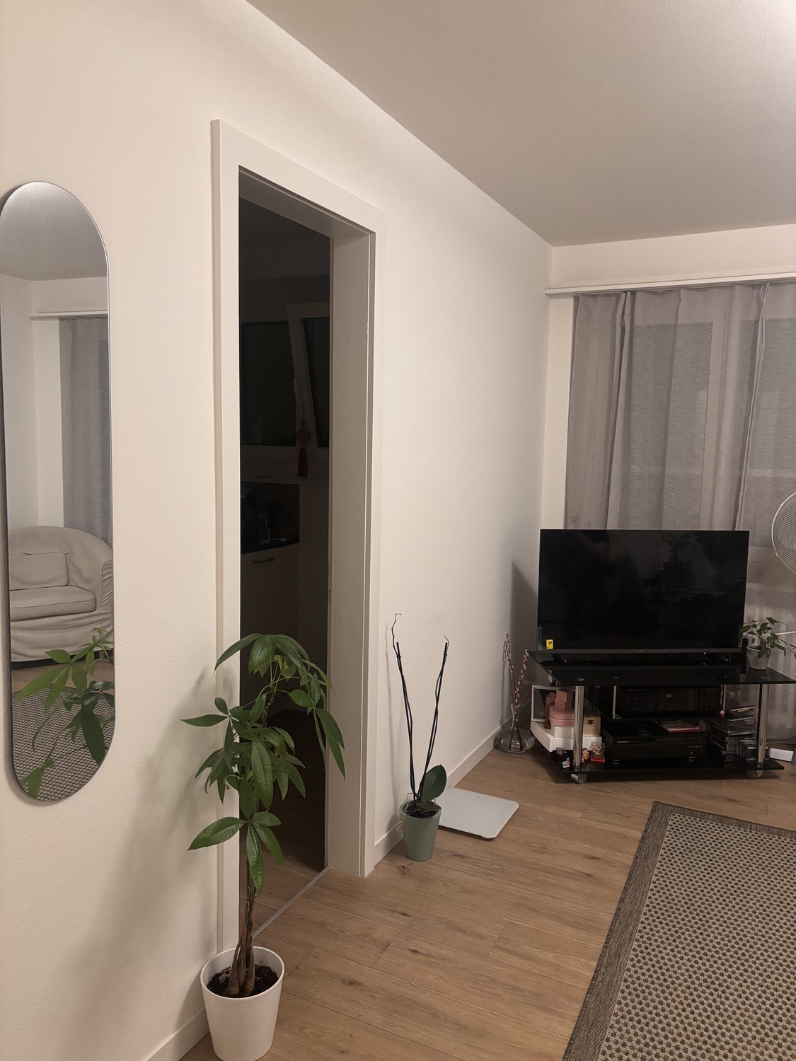 Appartement 1 pièce