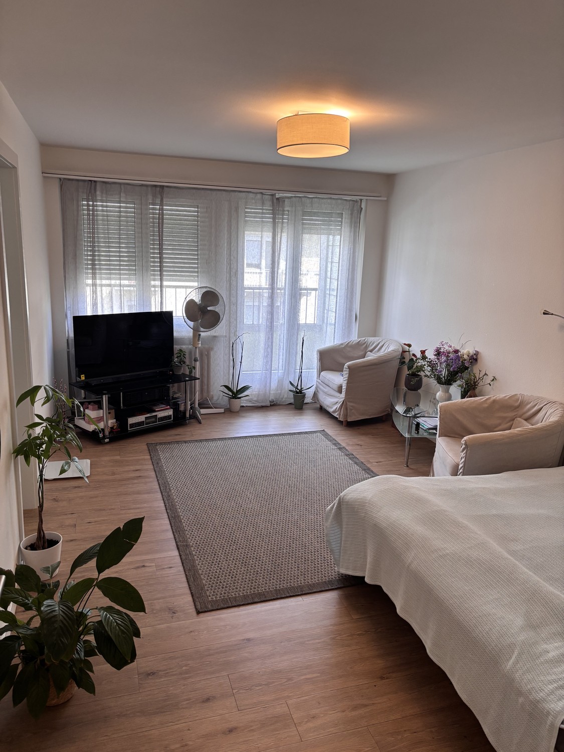 Appartement 1 pièce