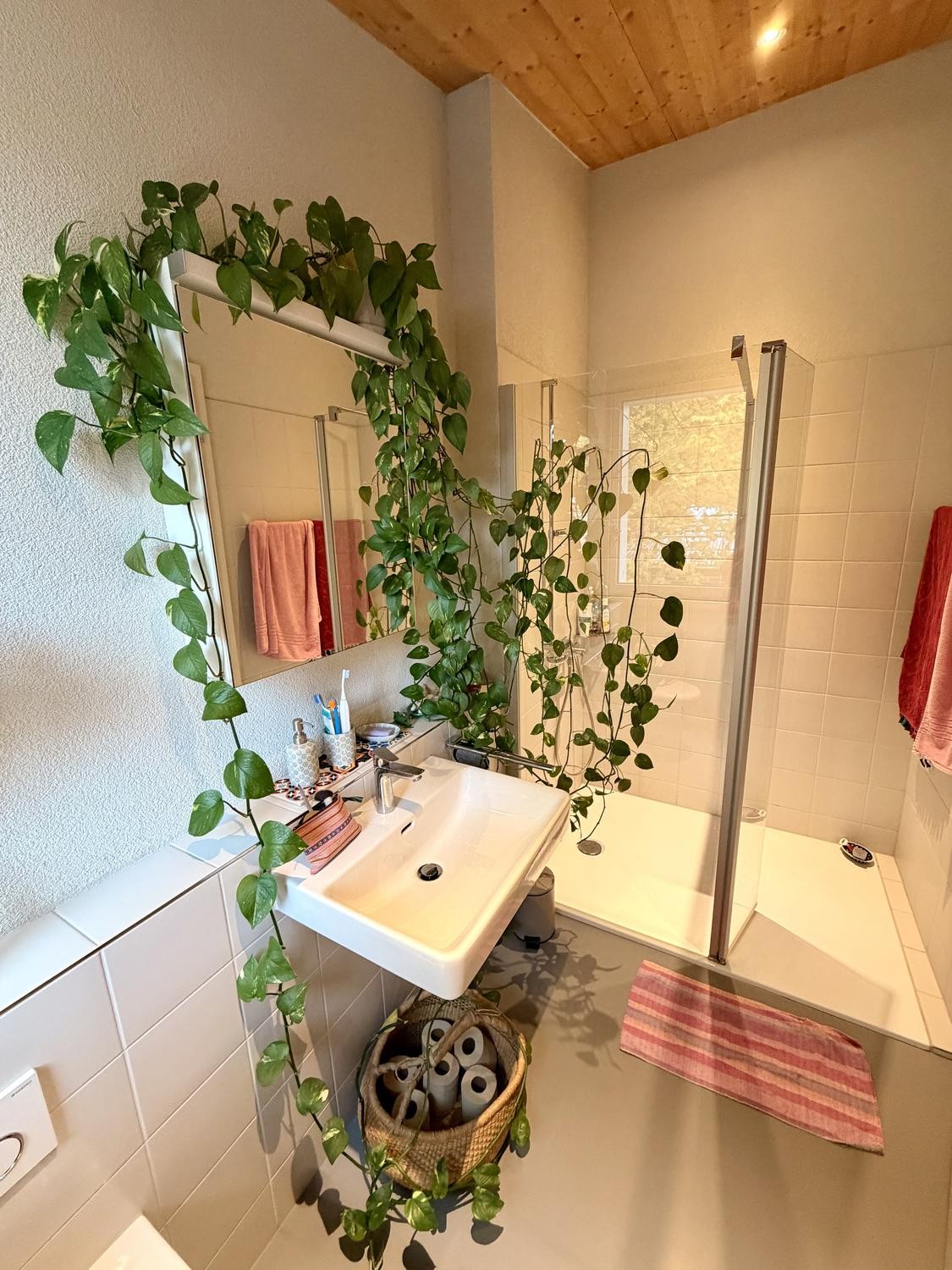 Appartement 1 pièce, photo 5 sur 5