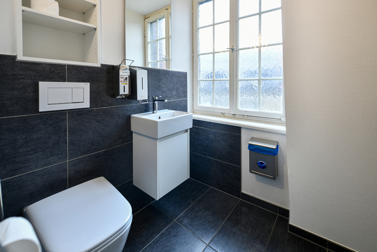 1299m² commercial, photo 8 sur 10