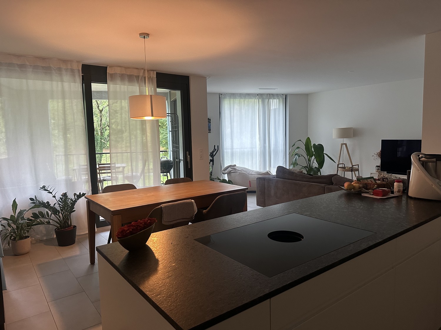Appartement de 3 ½ pièces