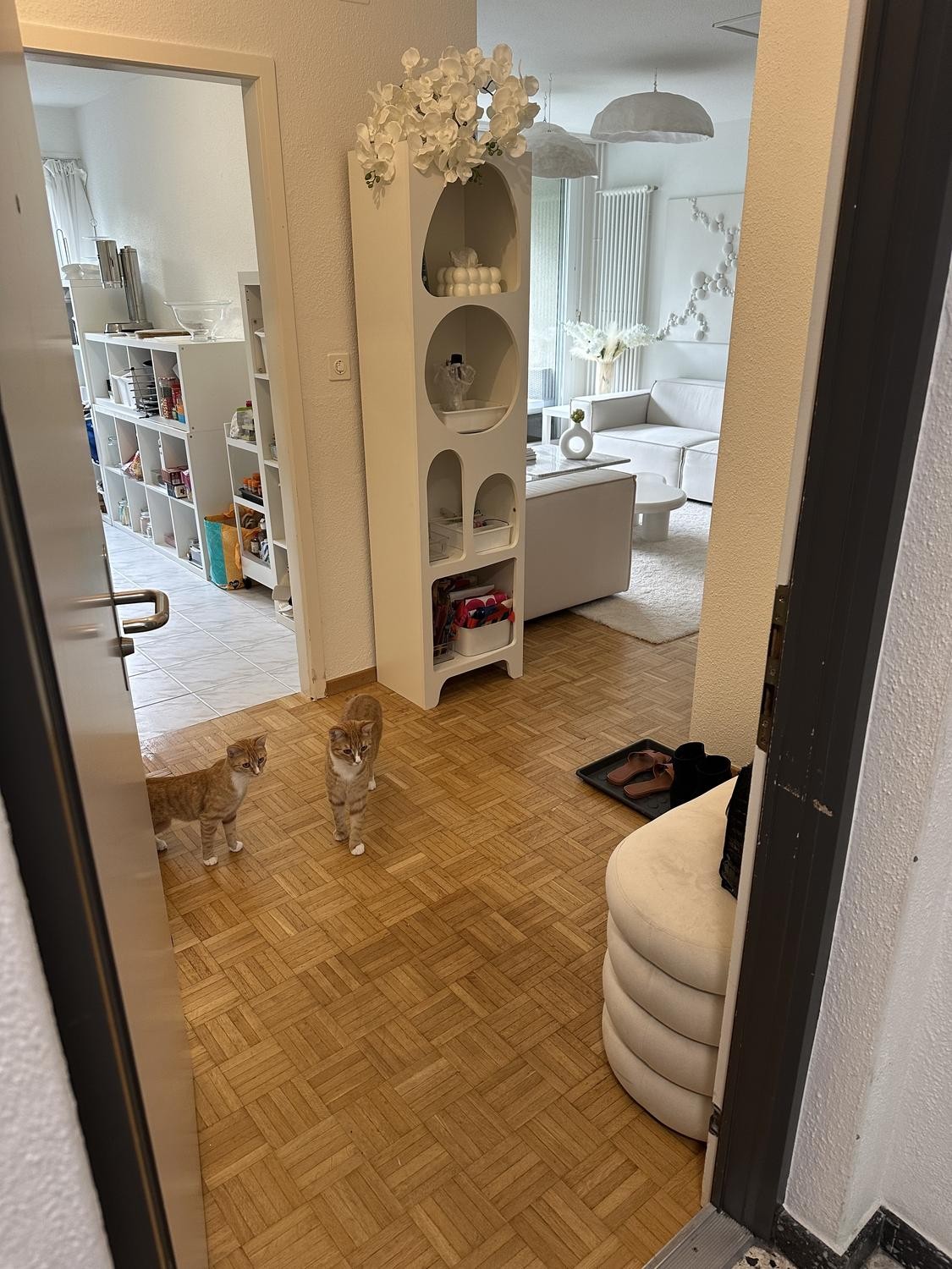 Appartement de 3 ½ pièces