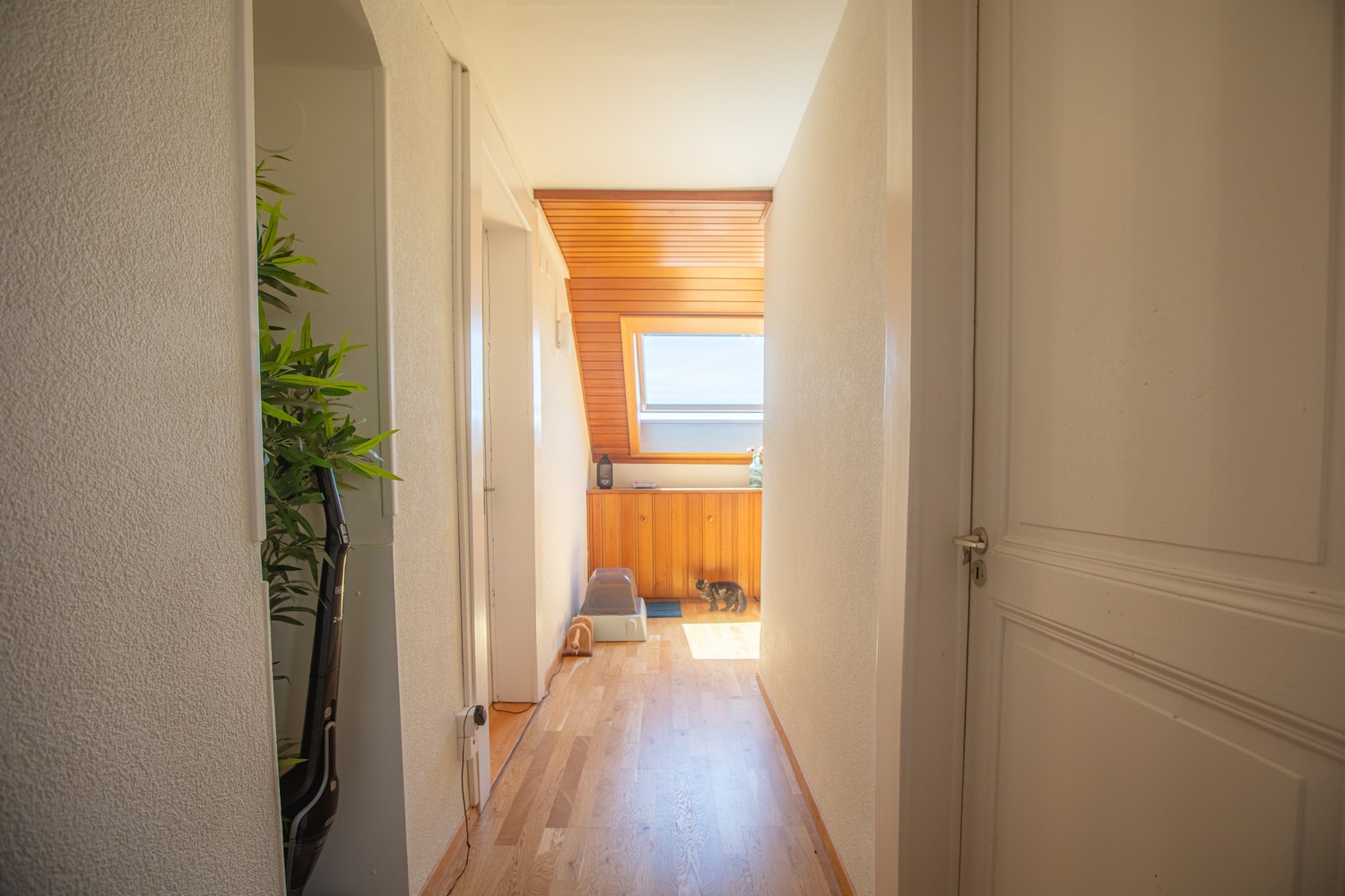 Room in a shared flat