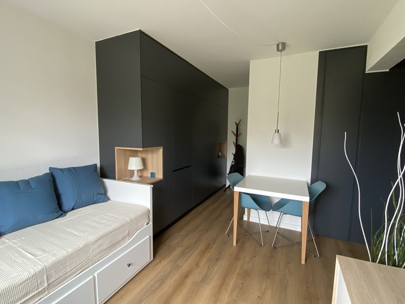 1 ½ rooms apartment, photo 3 sur 7