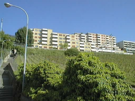2 ½ rooms apartment, photo 2 sur 2