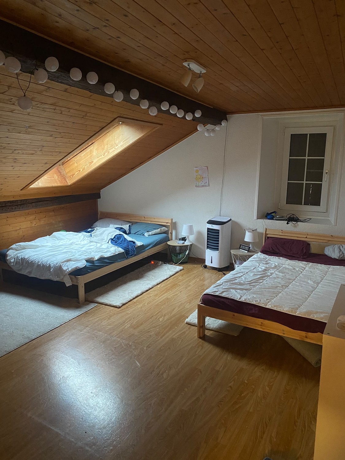 Room in a shared flat, photo 7 sur 7