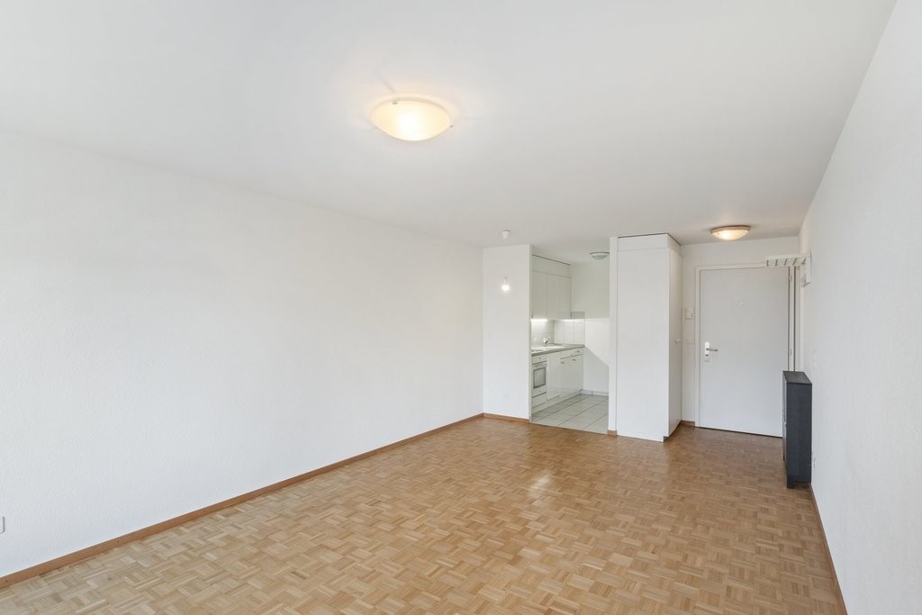 1 ½ rooms apartment, photo 3 sur 7