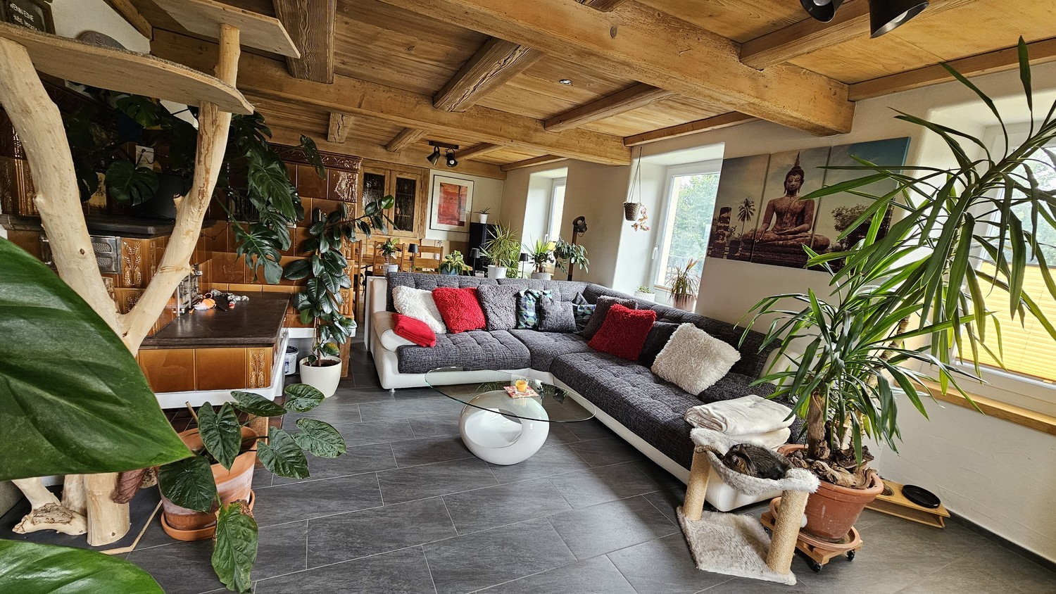 Chambre dans une colocation, photo 1 sur 10