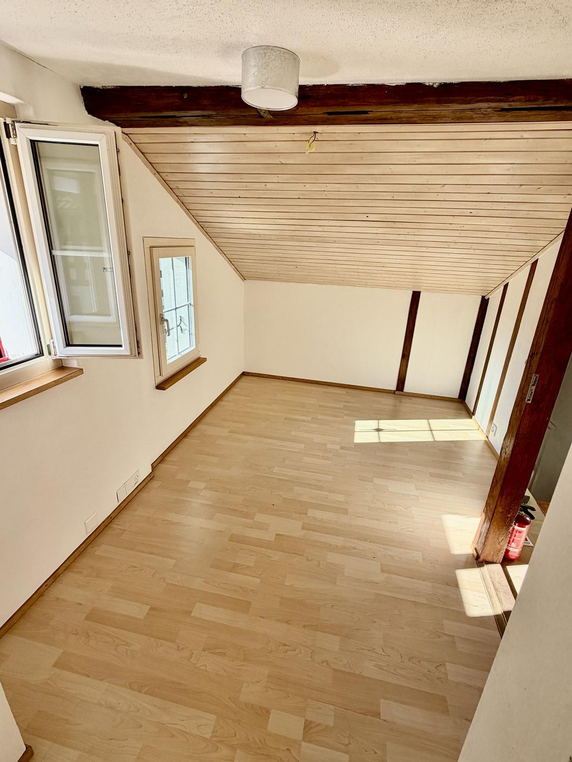 Maison individuelle de 3 ½ pièces, photo 5 sur 10