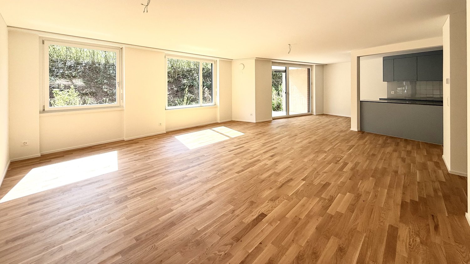 Appartement de 3 ½ pièces