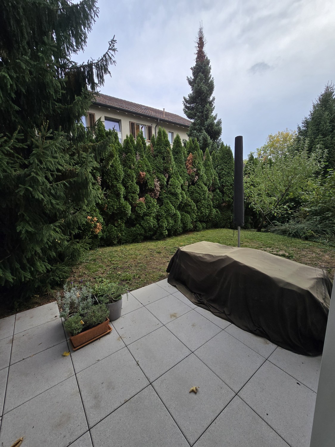 Appartement de 3 ½ pièces, photo 2 sur 6