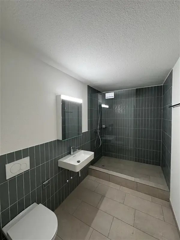 Appartement de 2 ½ pièces, photo 5 sur 6