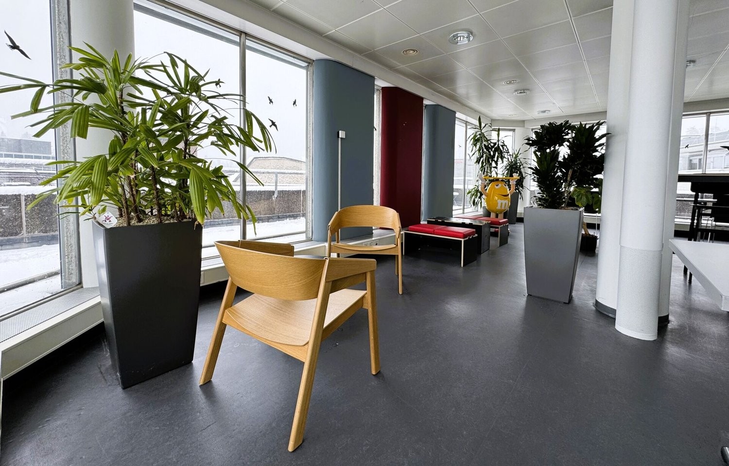 111m² bureau