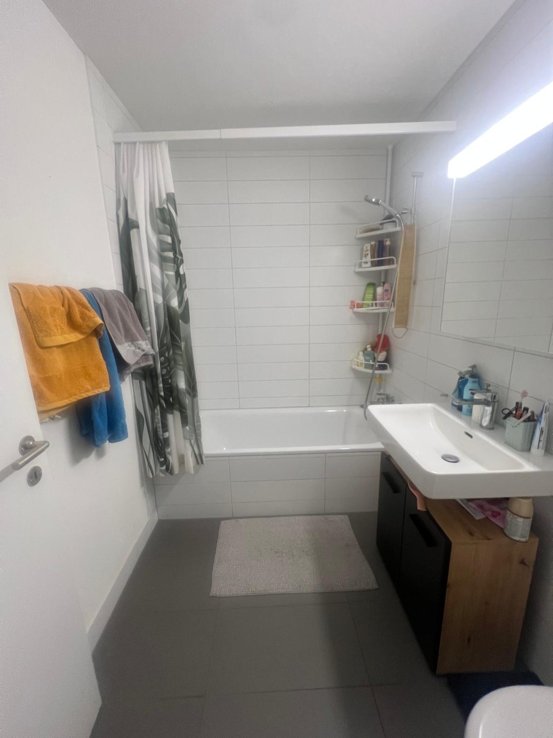 Chambre dans une colocation