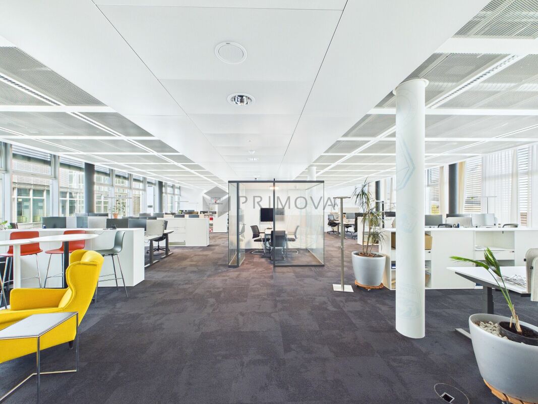 417m² commercial