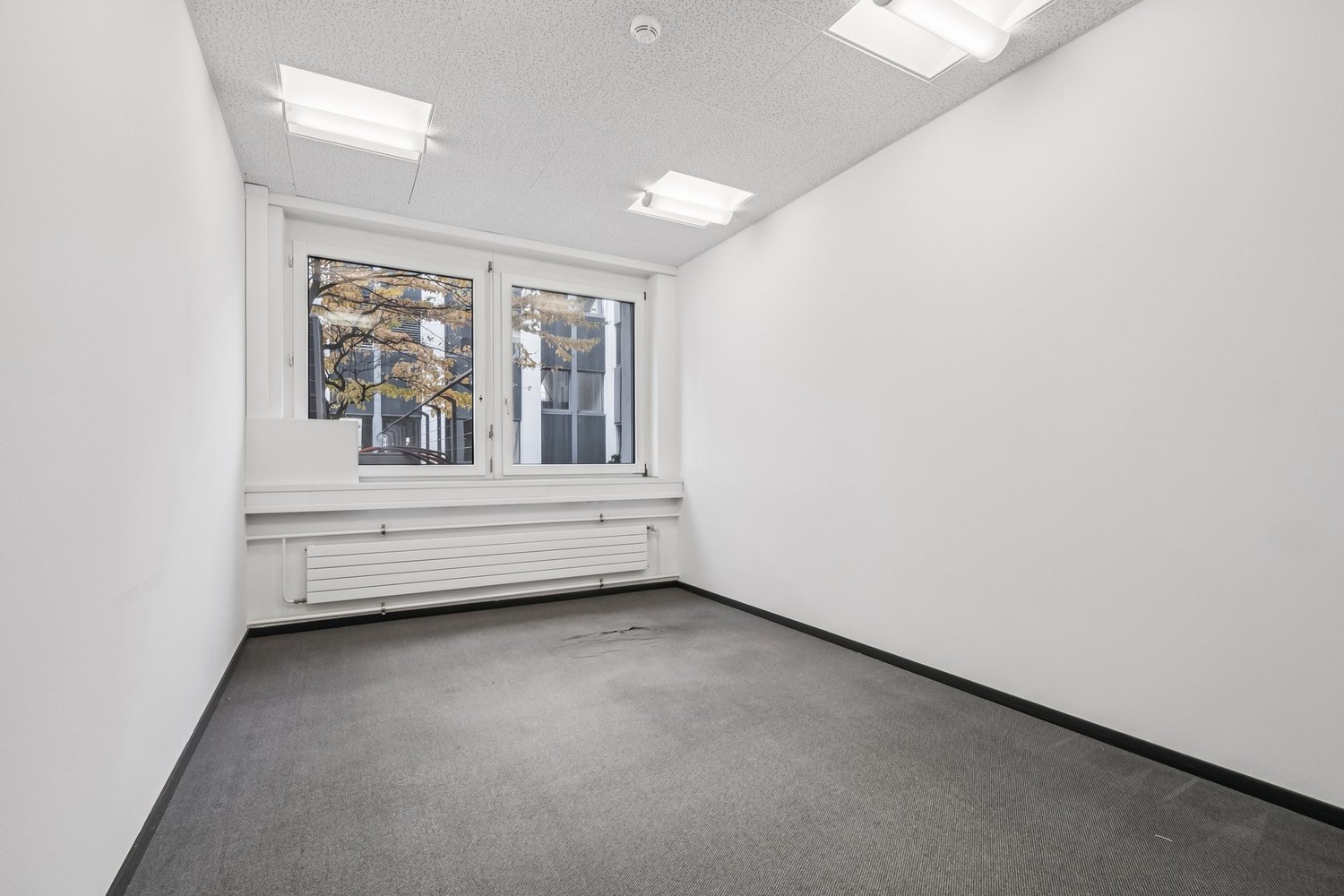 165m² bureau, photo 5 sur 10