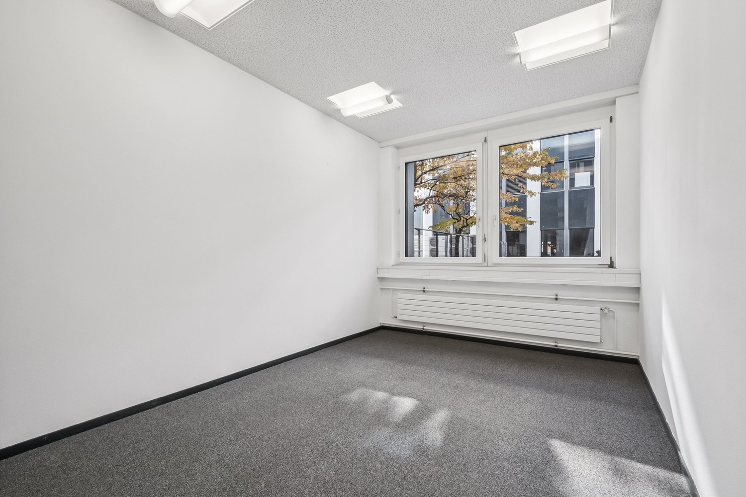 165m² bureau, photo 8 sur 10
