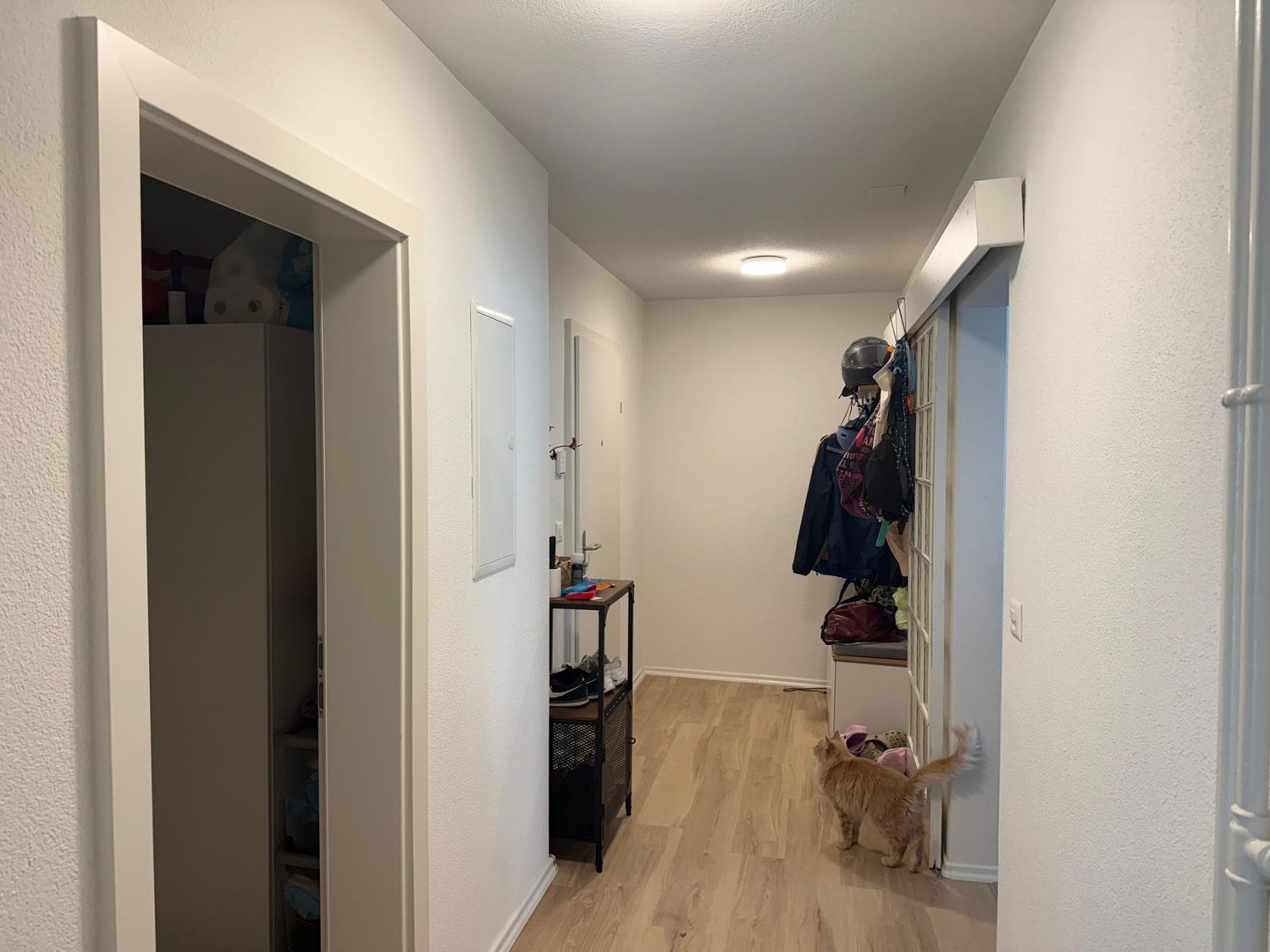 Appartement de 3 ½ pièces, photo 7 sur 8